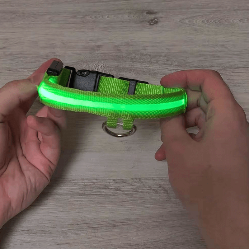 Precious Pals™ Bright Buddy LED Collar