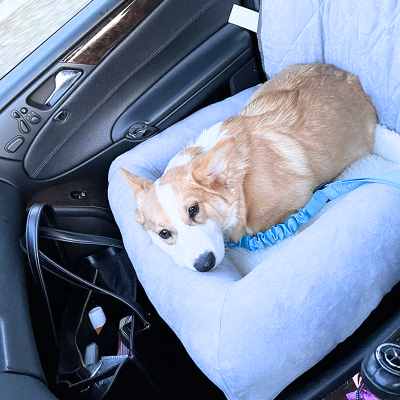 Precious Pals™ Safety Strap