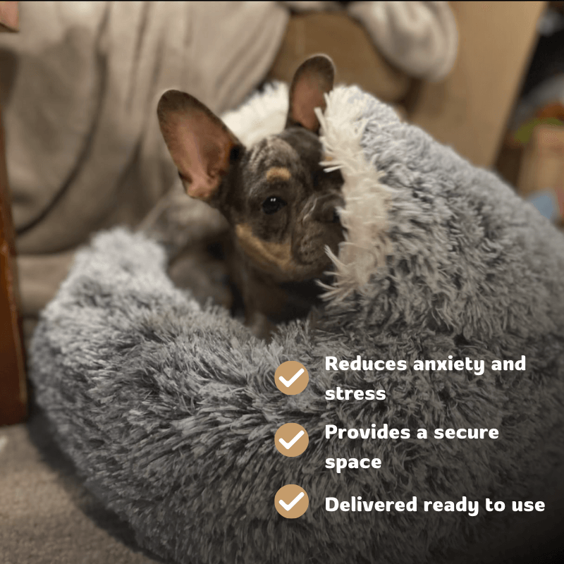 PreciousPals™ Calm Cave Bed