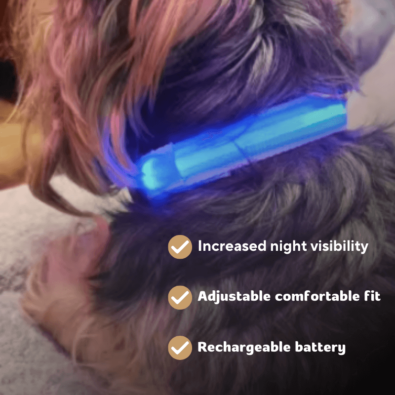 Precious Pals™ Bright Buddy LED Collar