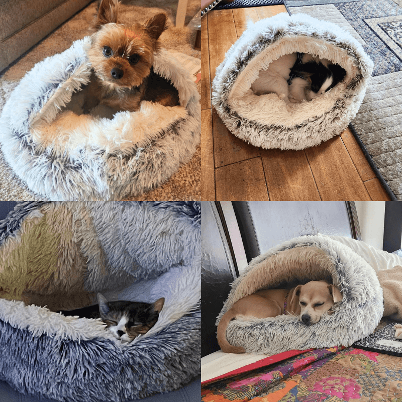 PreciousPals™ Calm Cave Bed