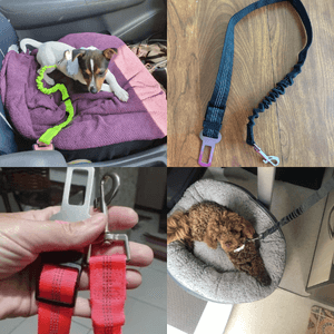 Precious Pals™ Safety Strap