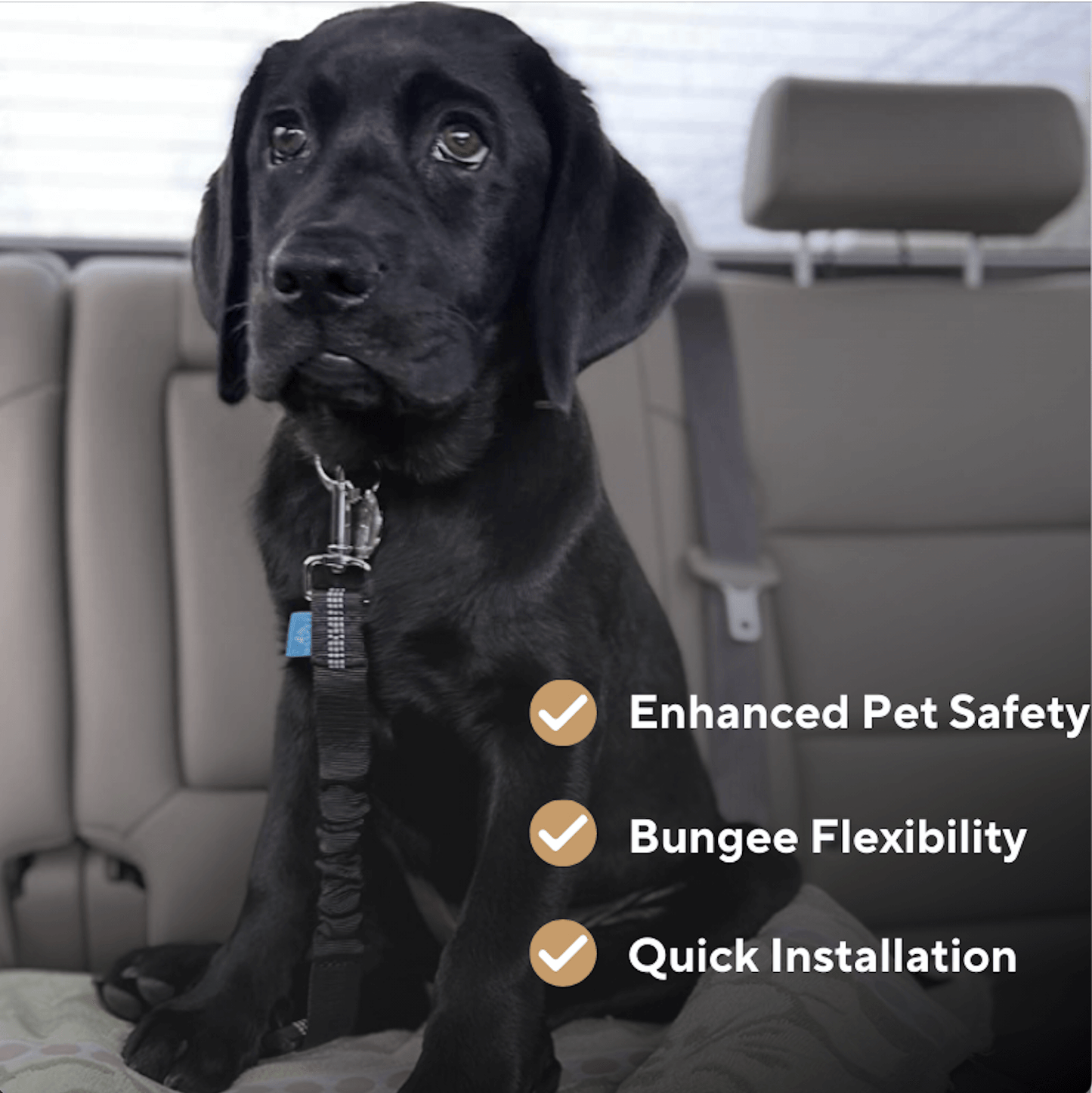 Precious Pals™ Safety Strap