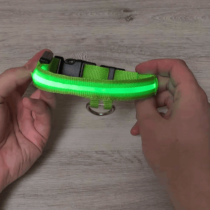 Precious Pals™ Bright Buddy LED Collar
